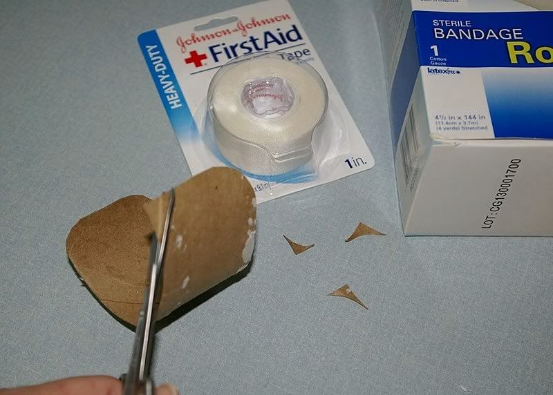 How to make an effective and human collar for mutilators, pluckers and the injured Avian